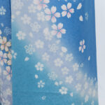 furi_26_B